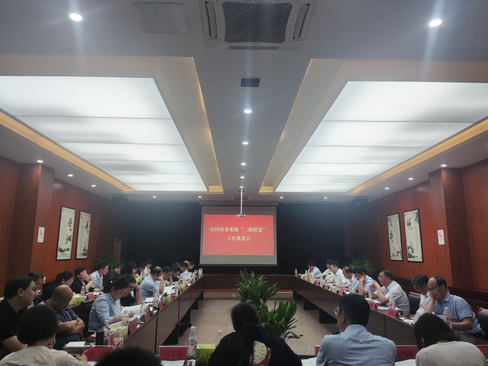 2024年7月17日，市國資委系統在公司開展“三組聯建”現場觀摩（推進會）_副本